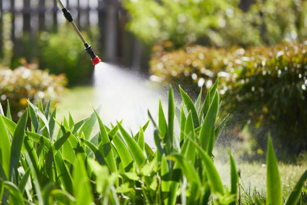 24/7 Emergency Mosquito Control experts in Zimmerman, MN